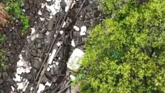 視頻丨近海生態(tài)監(jiān)管不力！北海紅樹林大面積死亡，欽州養(yǎng)殖場私設(shè)管道偷排