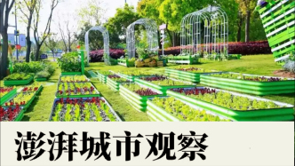 上?！岸际修r(nóng)業(yè)”30年：政策內(nèi)涵與發(fā)展重點(diǎn)