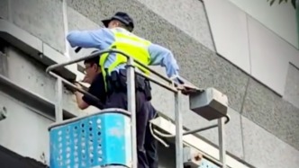 上海高架縫隙里縮了三四天的幼貓，等來(lái)了“最溫柔的大陣仗”