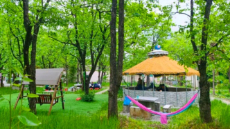 京郊四時記——藏在山水中的草木詩意