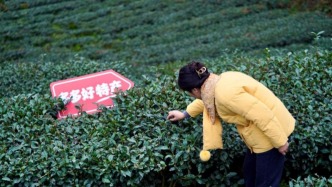 拼多多發(fā)布Q1財報，“千億扶持”加碼惠商助農，新拼姆助力供應鏈轉型升級