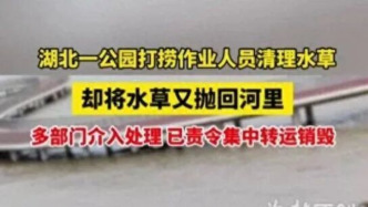 湖北安陆一公园将清理的水草、垃圾等扔进河，回应：已现场制止并处理