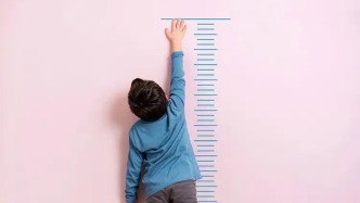 父亲压力如何“改写”后代发育：一项研究揭示精子中的分子记忆