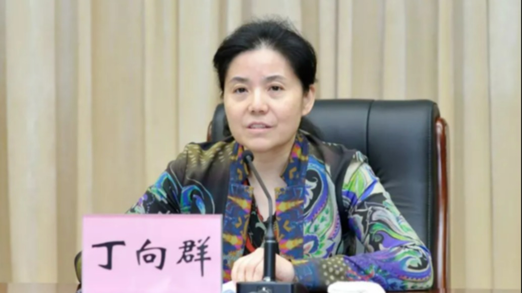 丁向群任国家金融监督管理总局党委书记