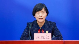 林红红已任中国国际贸易促进委员会副会长