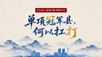澎湃携手复旦启动《单项冠军县，何以扛打》调研计划