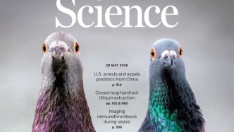 Science封面论文：鸽子靠肝脏来导航？肝脏巨噬细胞感应地球磁场，帮助鸽子在阴天导航