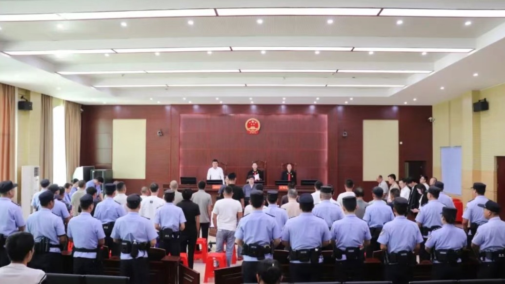 多次在海南热带雨林国家公园核心区及周边区域盗伐林木,26人被判刑