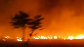 兩村民焚燒耕地秸稈引燃鄰近田地，被湖北襄陽(yáng)警方行政拘留
