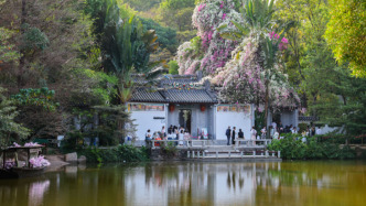 美丽中国行丨深圳：低碳风尚成就美好日常