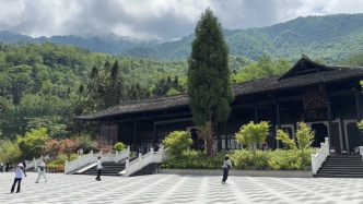 距大熊貓首次被發(fā)現(xiàn)157年，“美麗中國行”走進(jìn)大熊貓國家公園