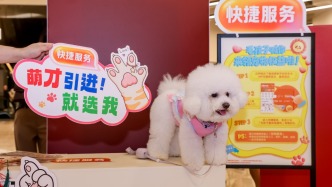 对话付欣：从一站式养宠服务到“宠物友好”养老社区，平安如何服务好2600万养宠客户？