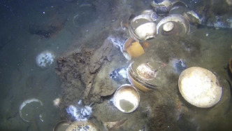 挪威发现载有大量中国瓷器18世纪沉船