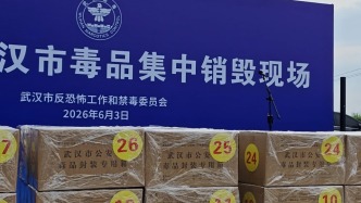“虎門銷煙”紀(jì)念日，湖北武漢公開集中銷毀毒品和易制毒原料