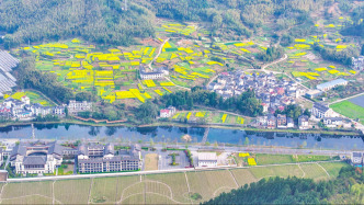 新华解码丨“十五五”时期农业农村现代化这样推进