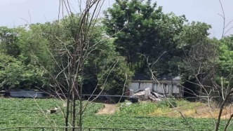渭河兴平段行洪区内存在垃圾堆积与违规耕种，防汛安全隐患突出
