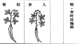跨越三大洲的人參之旅：一則關(guān)于知識、權(quán)力與正義的現(xiàn)代寓言