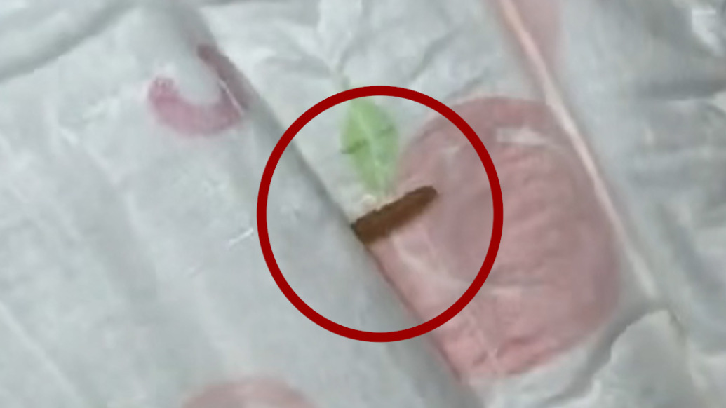消费者称好奇婴儿纸尿裤出现蠕动活虫,品牌客服:生产环节高温不具备虫子存活条件