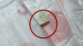 消费者称好奇婴儿纸尿裤出现蠕动活虫，品牌客服：生产环节高温不具备虫子存活条件