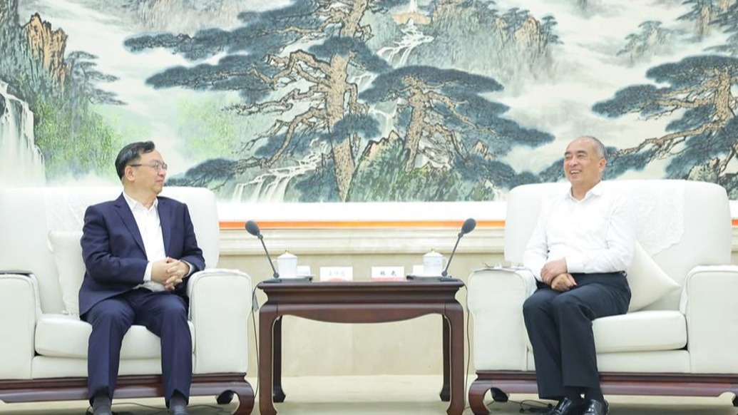 山东省委书记林武会见王传福，推动合作项目建设提速增效