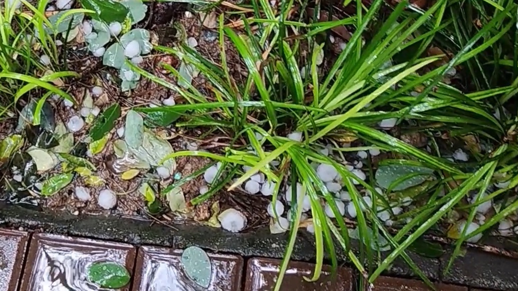 济南遭遇冰雹天气，市民：持续几分钟，冰雹约枣子大小