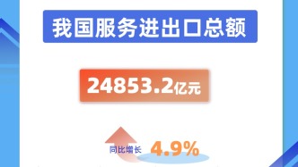 24853.2億元！“中國服務”加速出海