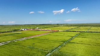 吉林大安治疗“地球之癣”四十年，苏打盐碱地变“鱼米水乡”