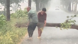 “誰(shuí)碰上都會(huì)這么做”，暴雨中一對(duì)夫婦徒手搬開倒在路上的大樹