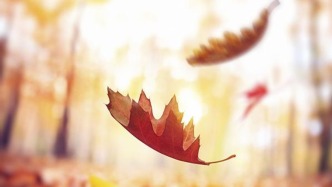 中觸媒：創(chuàng)始人之一劉頤靜因病逝世，年僅53歲