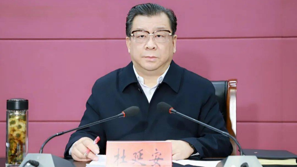 安徽省人大常委会党组成员、秘书长杜延安主动投案