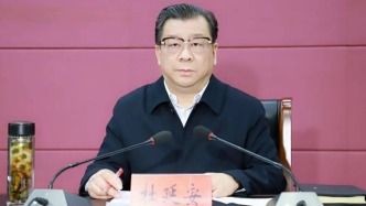 安徽省人大常委会党组成员、秘书长杜延安主动投案