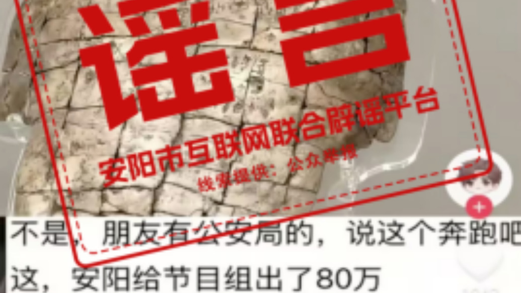 河南安阳辟谣“支付《奔跑吧》节目组80万元”：未向安阳收取任何费用