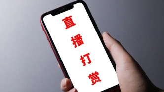 侵占公司780万元大部分用于打赏主播，财务经理获刑7年