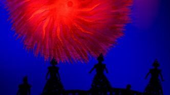 生命花开的小插曲：读懂孕早期出血的信号