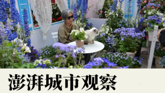 以节促链，打通花经济的“任督二脉”