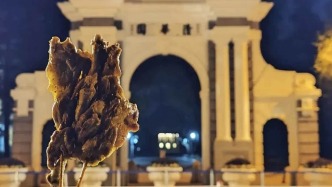 鹅腿阿姨原料为鸭腿？有厂家冻鸭腿每只1.43元，冻鹅腿近10元