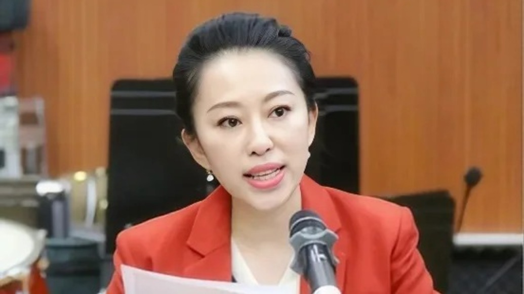 知名琵琶演奏家赵聪已任文旅部公共服务司司长