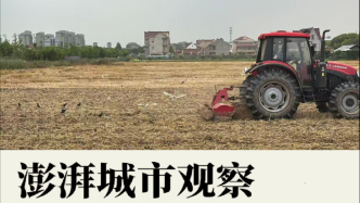 从乡村工业到科创农业，这座超大城市乡村迎来哪些变化？