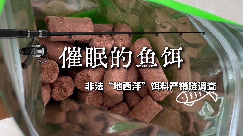 影子暗访|揭秘钓鱼“神饵”背后的非法产销链
