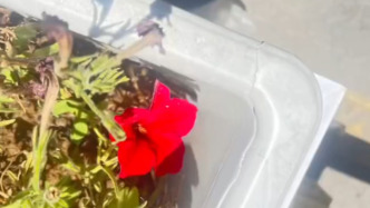 撞坏护栏让赔偿算了三次价不同？陕西宝鸡市渭滨区通报