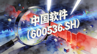 中国软件：在政府采购活动中构成恶意串通，一年内被禁止参加政府采购活动并罚款40471元