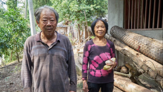 艺术评论周刊｜记住守护文化遗产的人