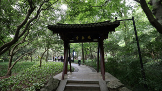 西湖景区重拳治理灵隐“黄牛”：永久封禁个人账户312个、旅行社4家