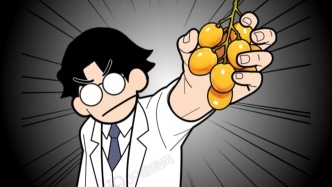 黄皮再次成为关注对象！医生发现：吃黄皮时，千万多留意这几点