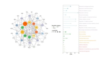 继肺癌风险飙54%后，爱喝咖啡，膀胱癌风险也涨102%？最新研究：每天一杯，肺癌风险涨6%；且每天3杯脱因咖啡，与男性膀胱癌风险激增相关