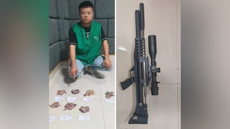 两人持枪在湖南株洲湘潭两地非法猎捕野生鸟类，被刑事拘留