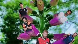 国际足联为何也玩起了“花开富贵”