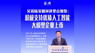 一图看懂｜吴清陆家嘴演讲要点速览：积极支持优质人工智能大模型企业上市