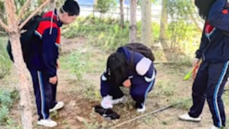 教育的初衷是让善良成为本能，老师偶遇孩子们掩埋离世小猫
