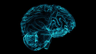 中国脑科学研究新突破：世界首次实现同一神经元三模态整合解析
